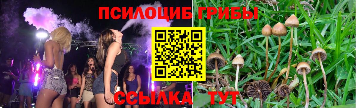 даркнет сайт  Галлюциногенные грибы Psilocybine cubensis  Нововоронеж  Вход с VPN  Галлюциногенные грибы Cubensis 
