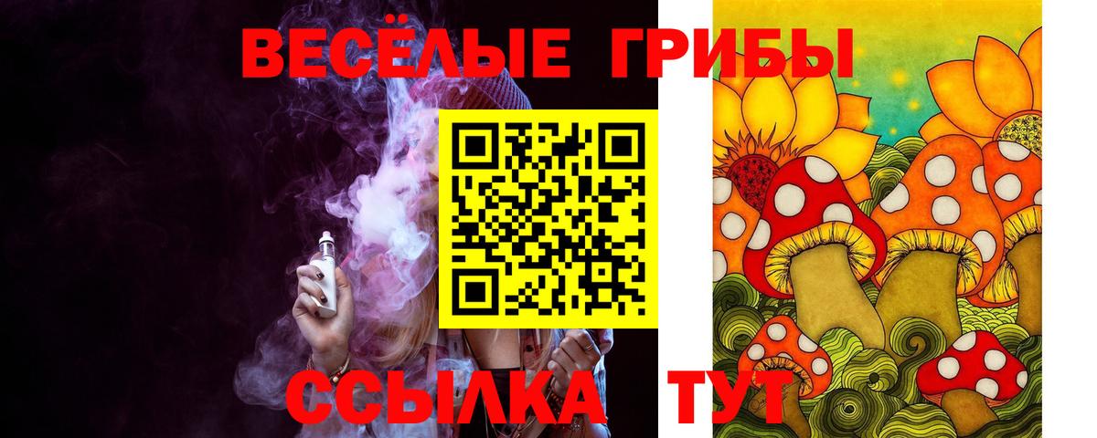 Галлюциногенные грибы ЛСД Нововоронеж